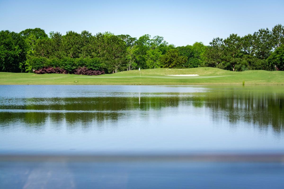 The Wetlands Lake