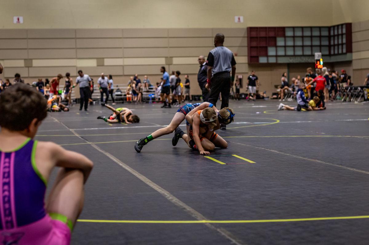 Two people wrestling at the Lansing Center