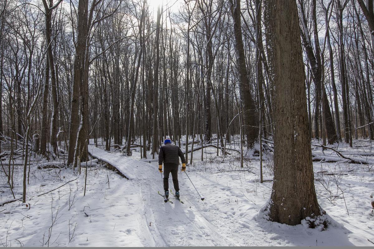 Person Skiing
