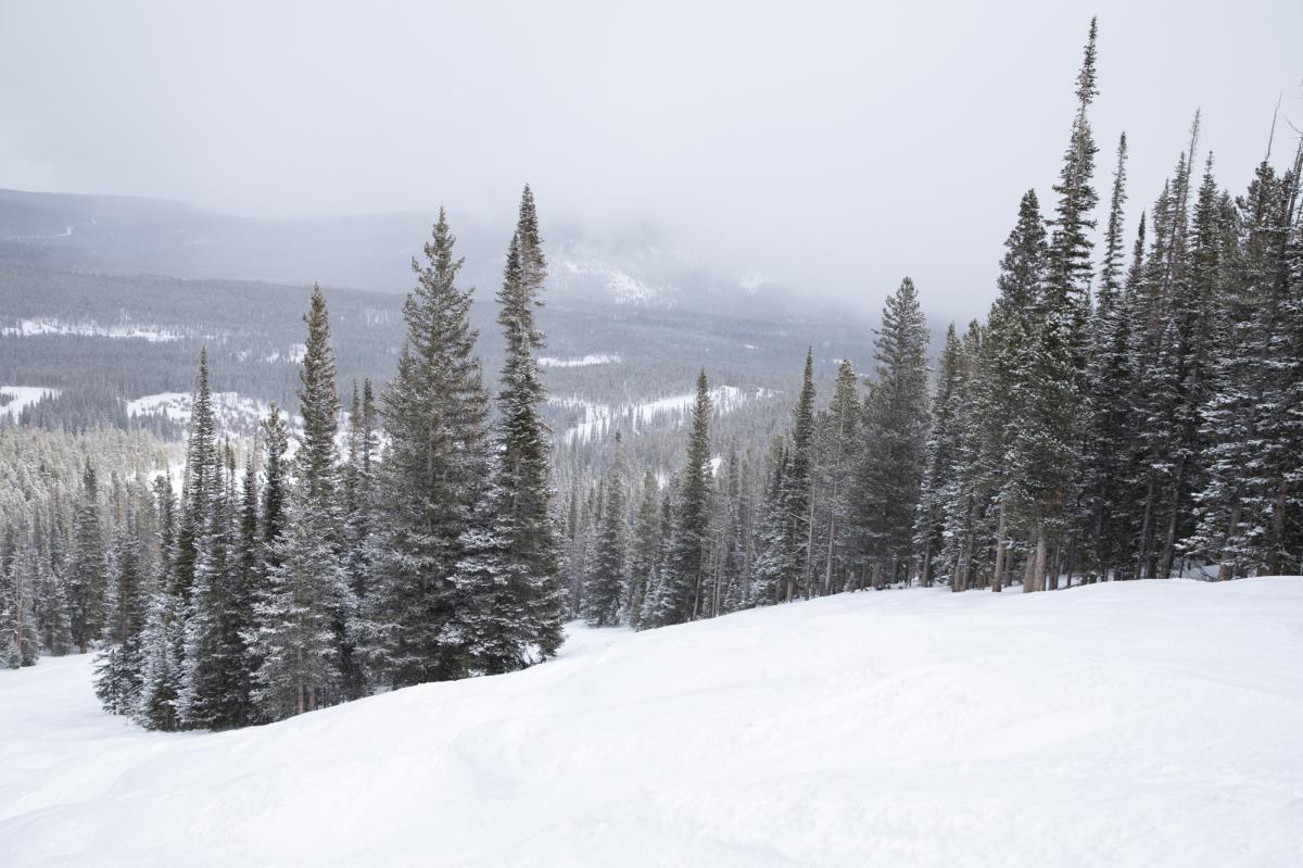 Snowy Range Ski Area Views