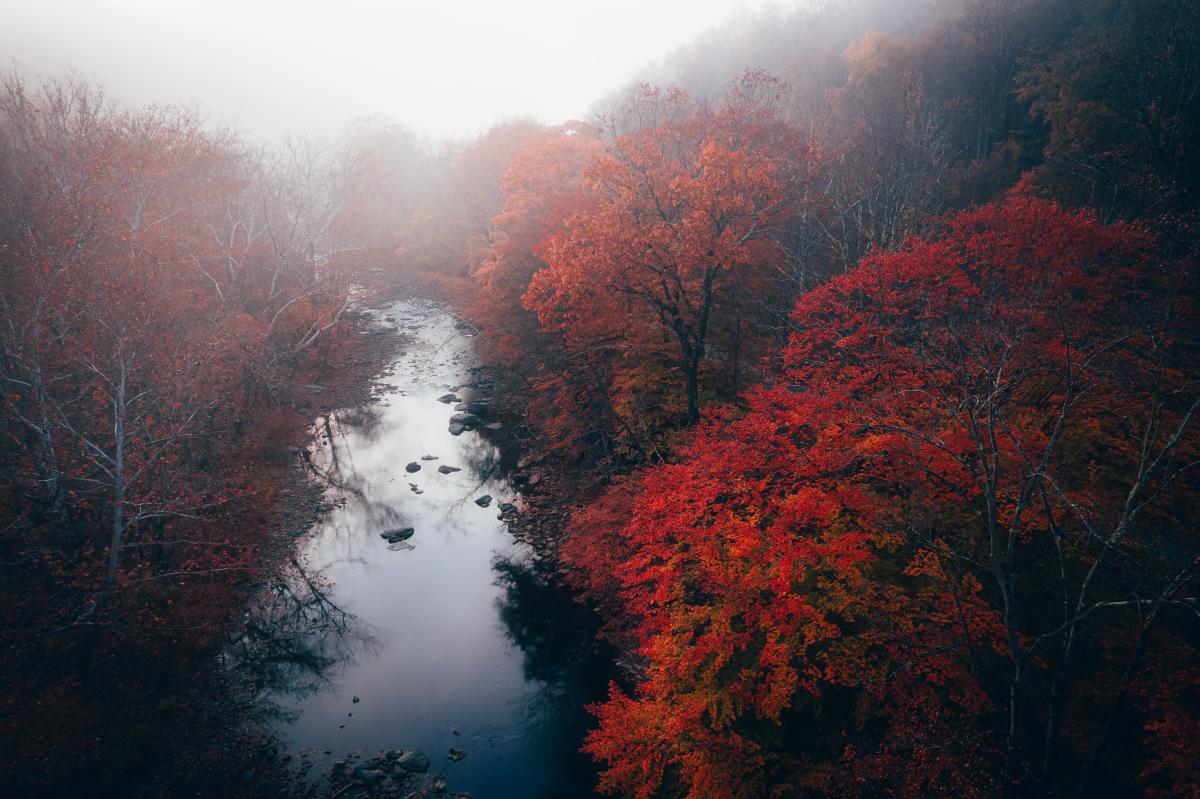 The Loyalhanna River Gorge offers incredible fall foliage views.