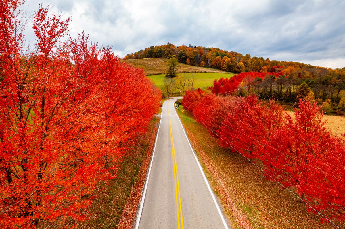 Fall Road Trip in Laurel Highlands