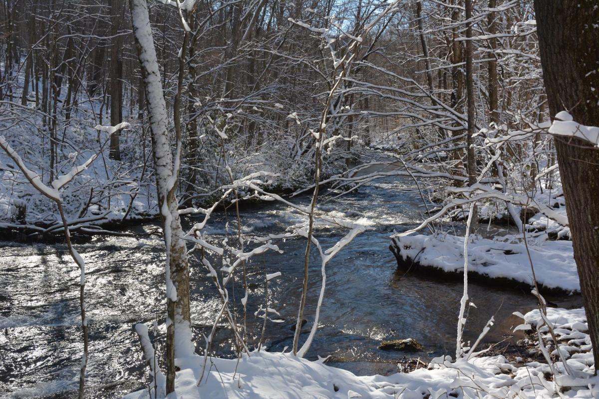 Laurel Hill State Park Winter