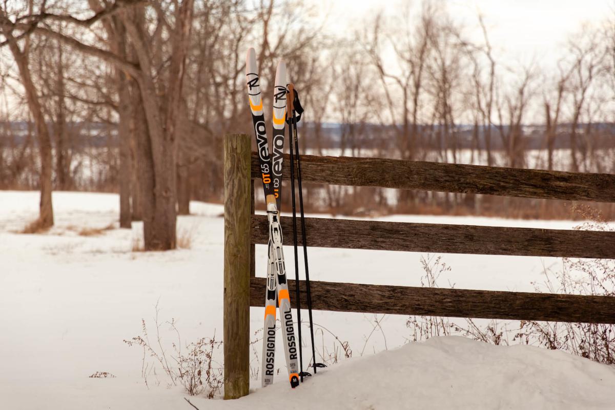 Skiis with rods leaning on fence in the snow