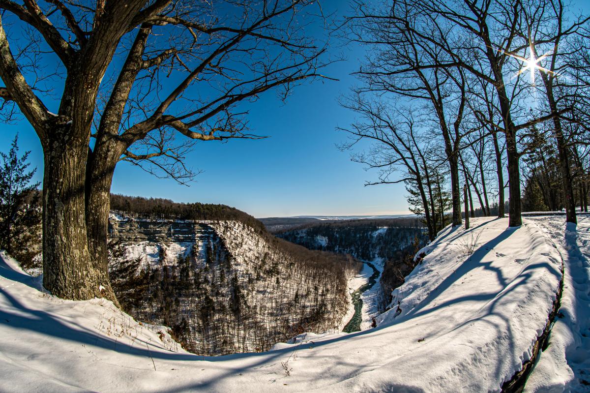 Letchworth in winter