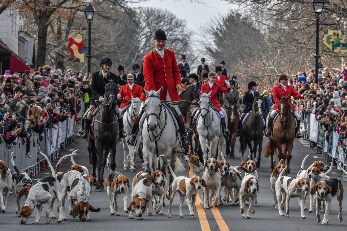 The Middleburg Hunt's hounds and horses lead the way down the town's streets for the Christmas in Middleburg celebration