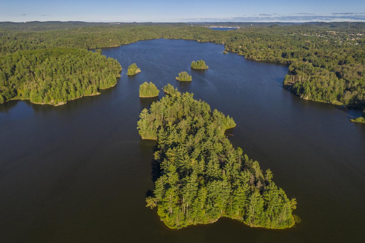 Aerial shot of a Deer Lake in Ishpeming