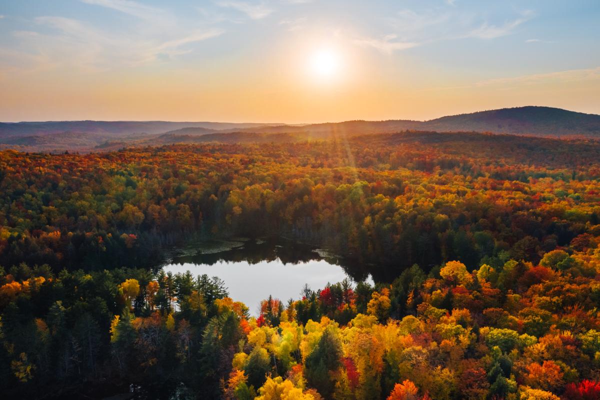 An aerial view of fall color over Harlow Lake in peak autumn