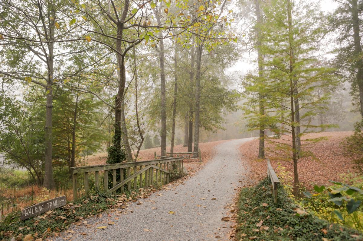 Lockerly Arboretum Fall