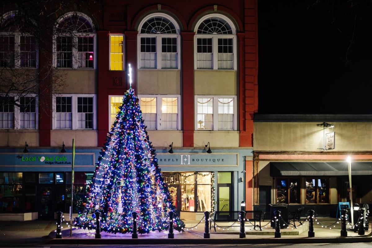 Tree downtown, 2023