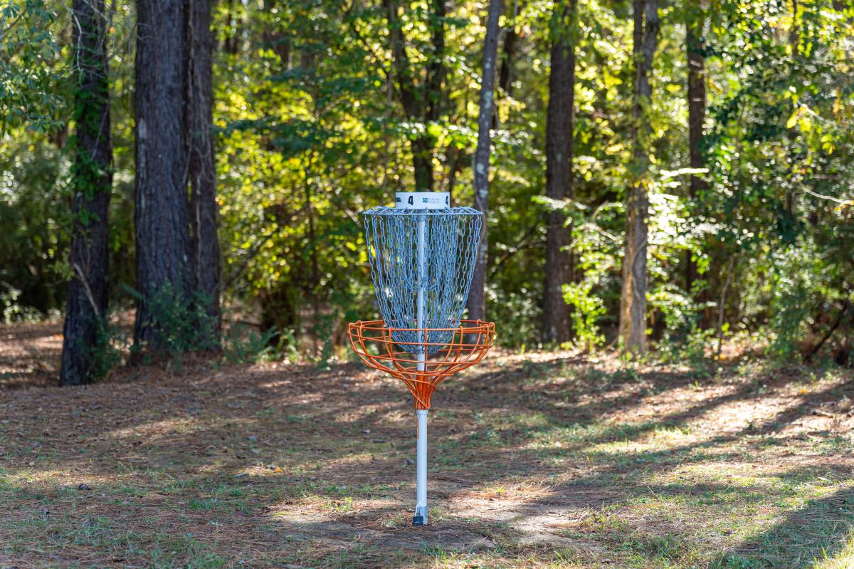 disc golf