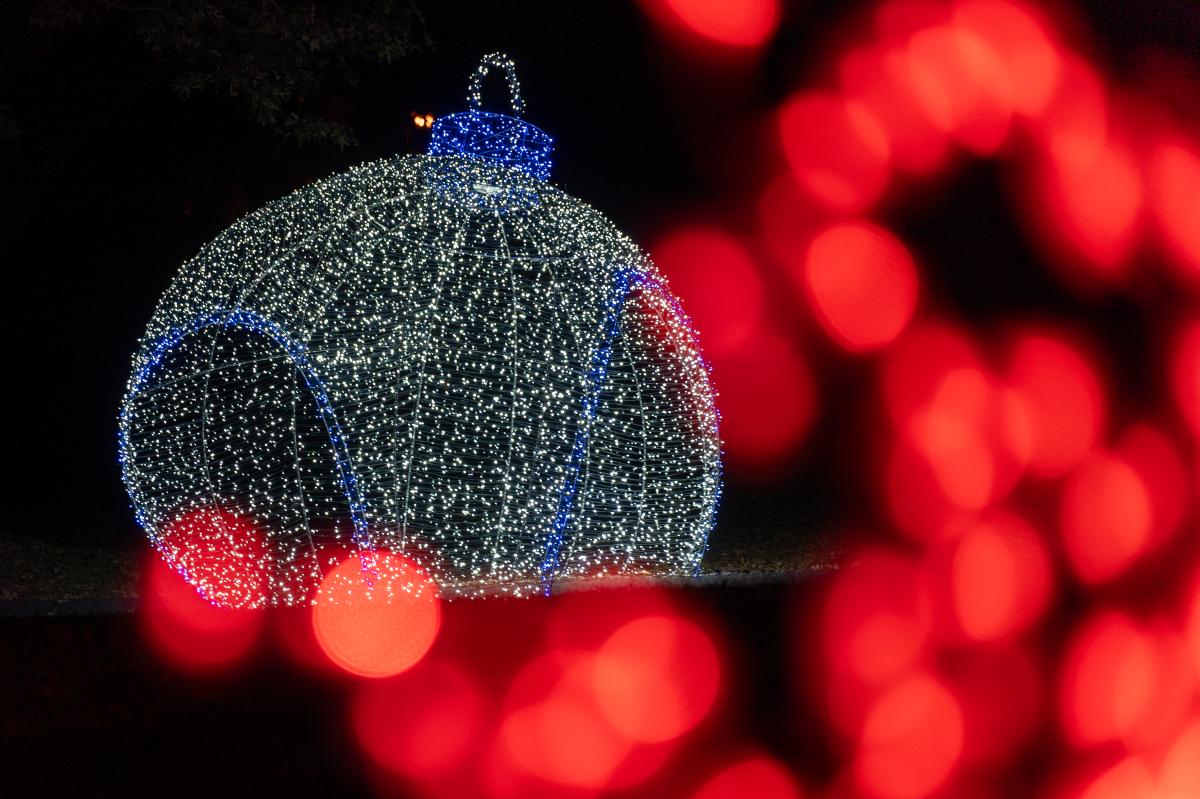 Lockerly in Lights
