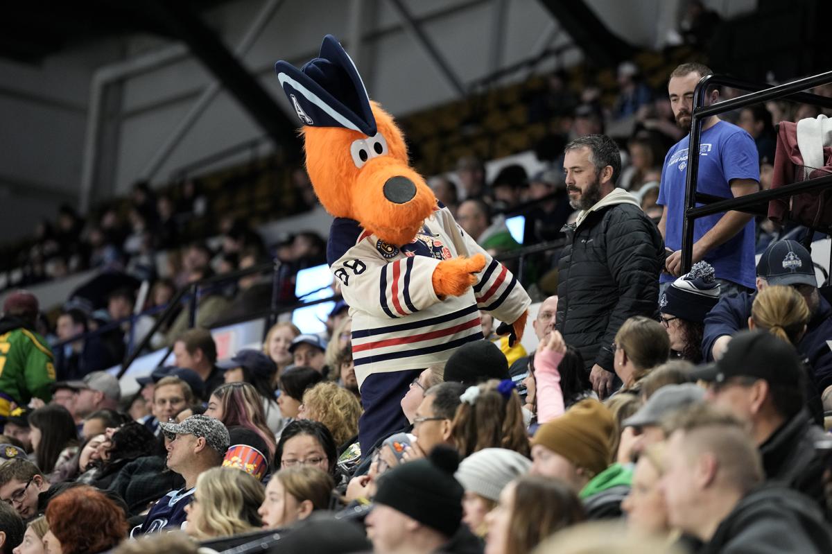 Milwaukee Admirals Crowd with Bosco