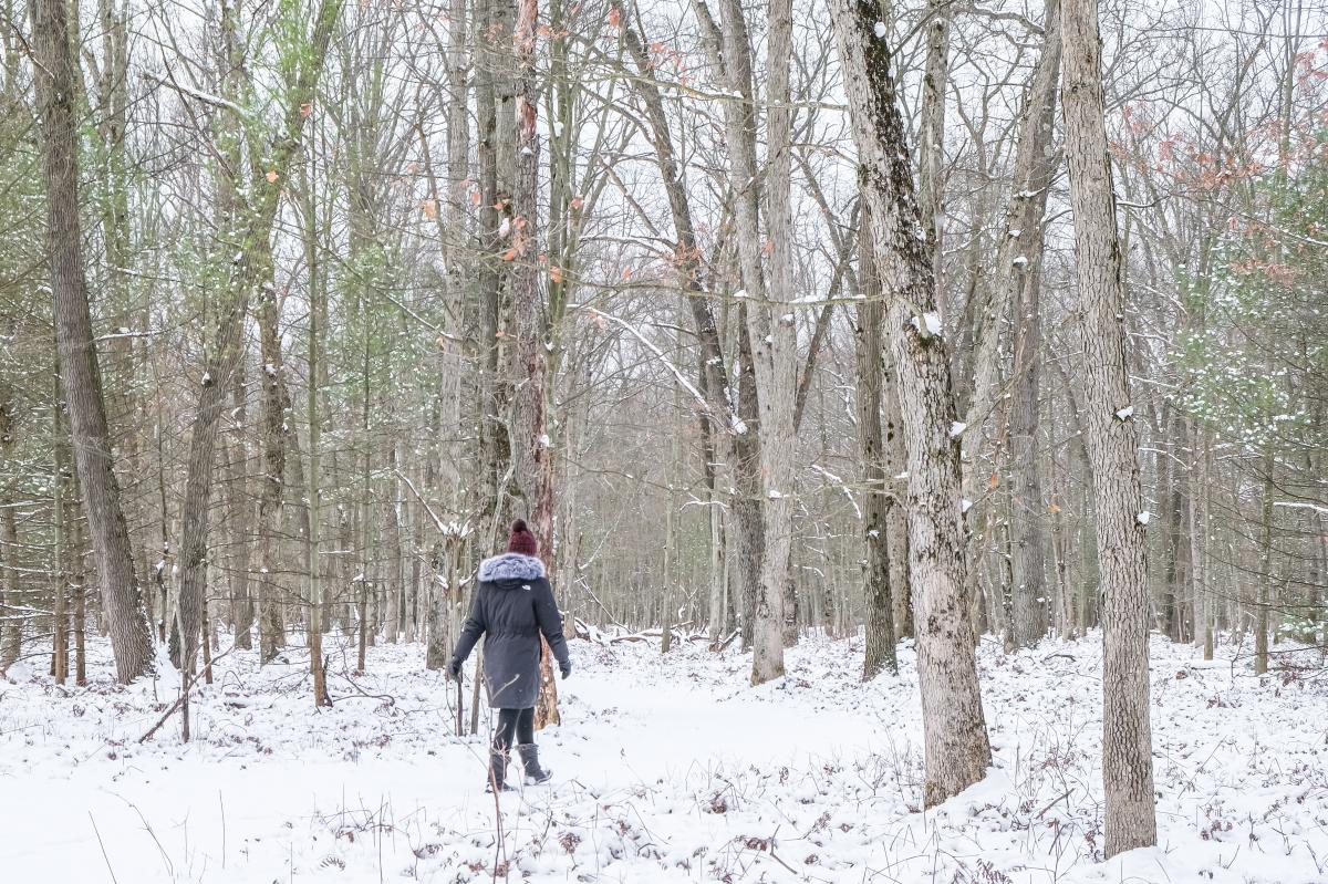 woman in winter coat, hat and boots walks through forest along snow covered path
