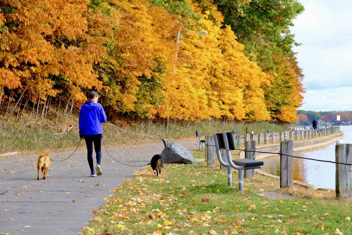 Self-Guided Fall Color Tour in Muskegon County | Visit Muskegon