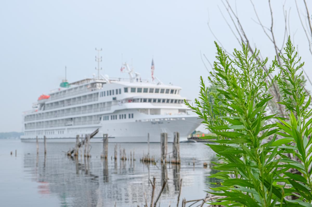 The cruise ship, Pearl Mist, docked in muskegon lake with wooden pylons and goldenrod in the foreground