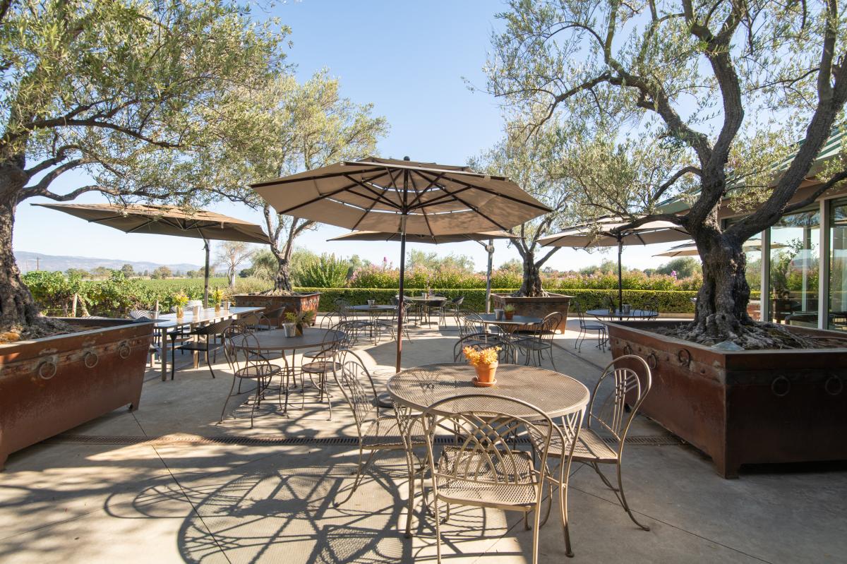 An outdoor patio with metal tables, chairs, and large umbrellas shaded by trees overlooking Napa Valley vineyards.