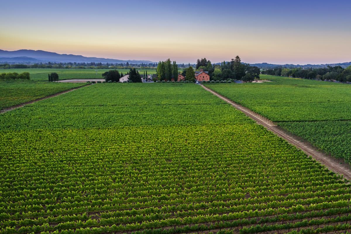 Trefethen Family Vineyards from above