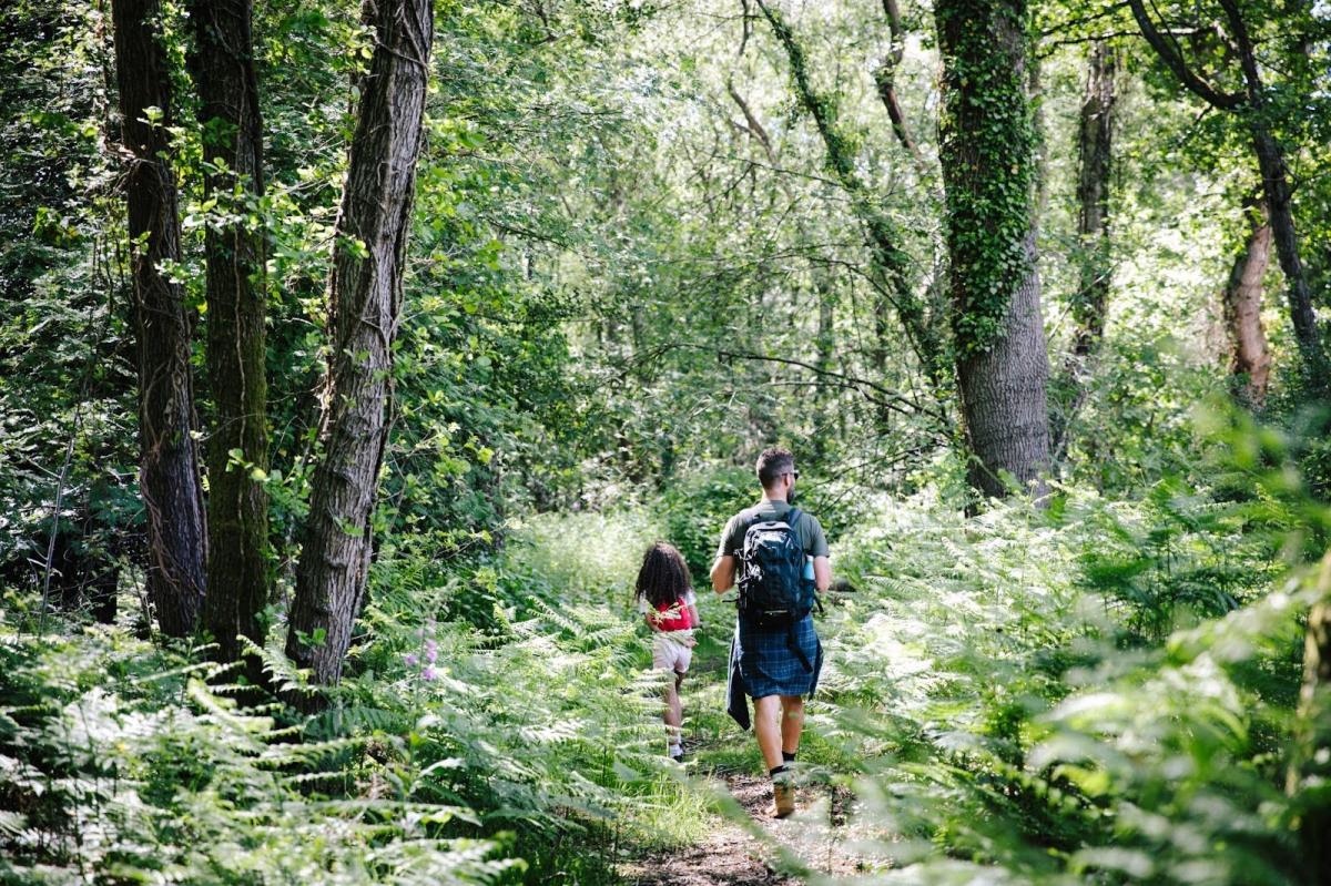 People walking in forest