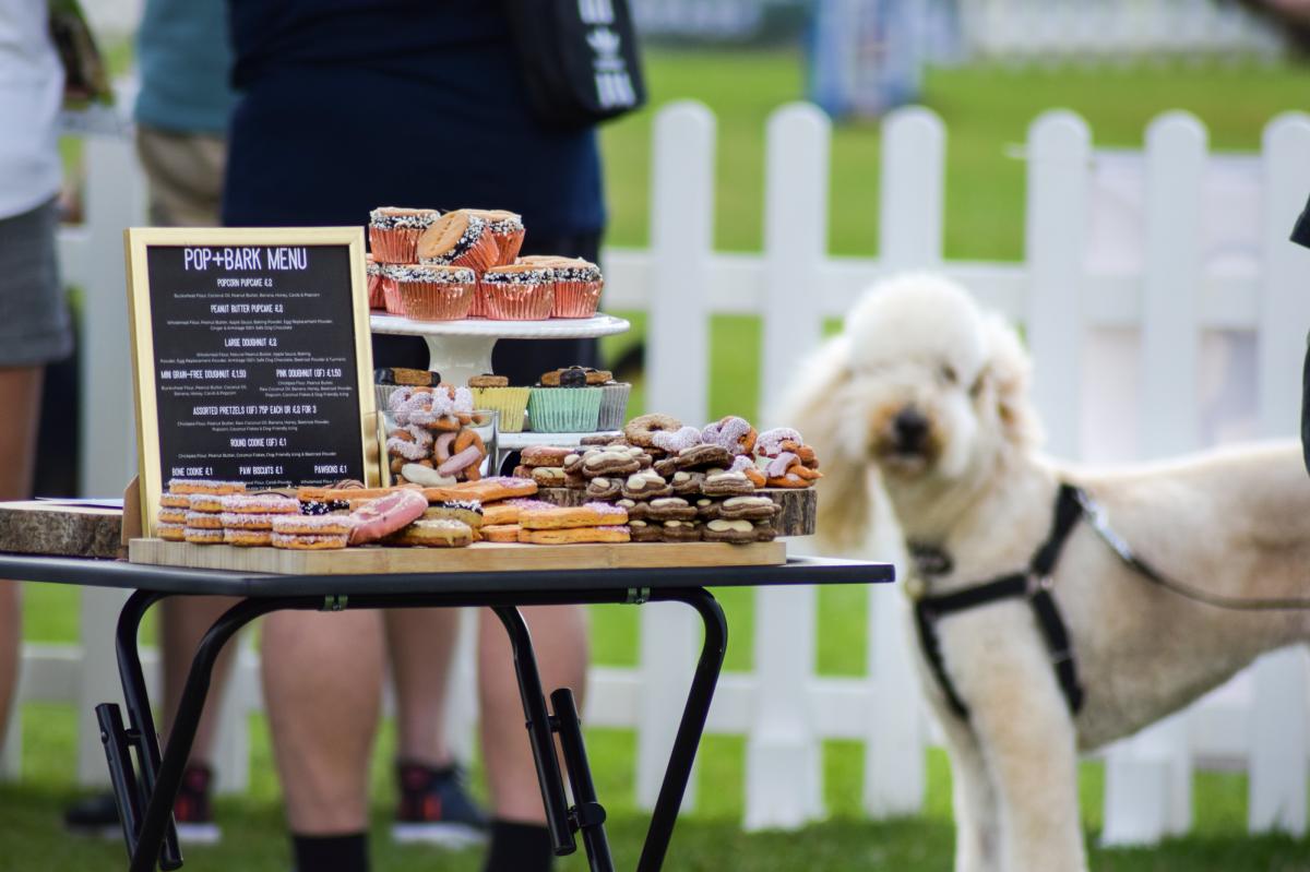 Dogstival - Pop and Bark menu