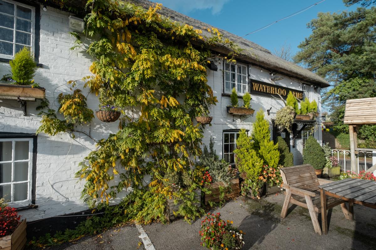 Pubs autumn collection