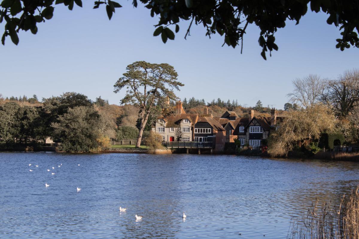 Beaulieu across the Millpond in the New Forest