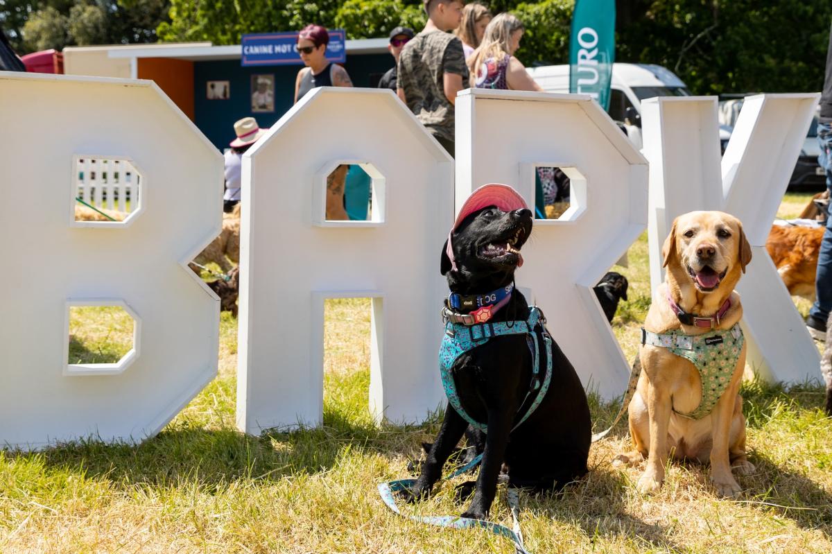 Dogstival