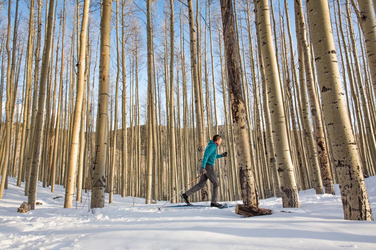 A person cross-country skiing among tall aspen trees covered with snow.
