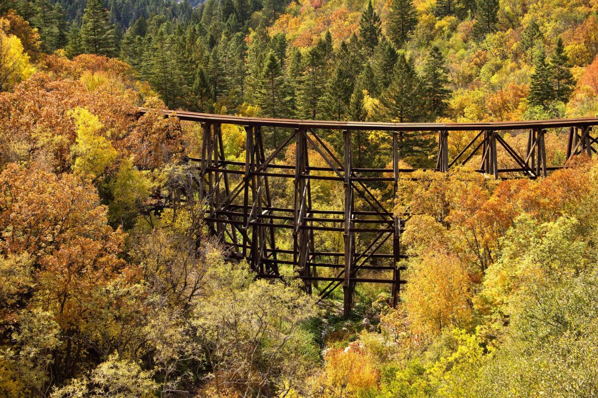 Lincoln Wilderness