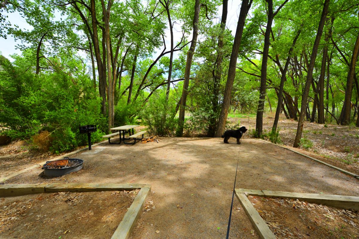 Cottonwood Campground, Navajo Lake