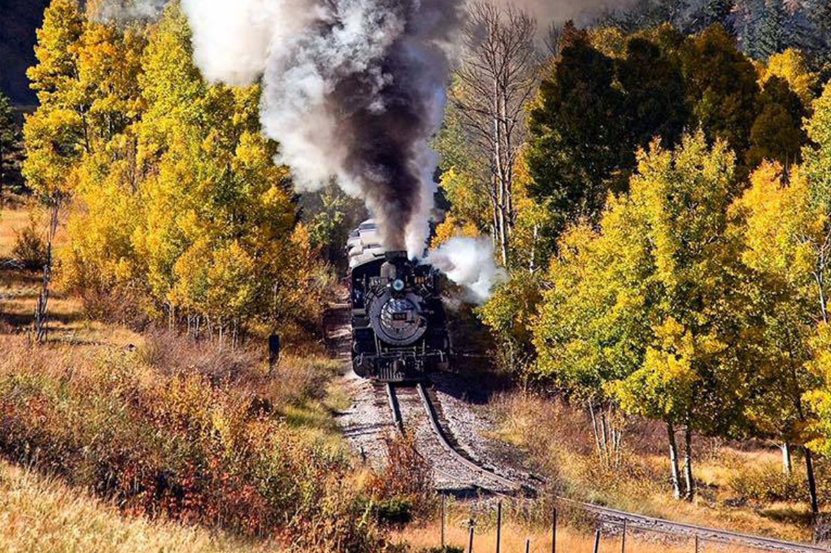 Ride the Fall Trains