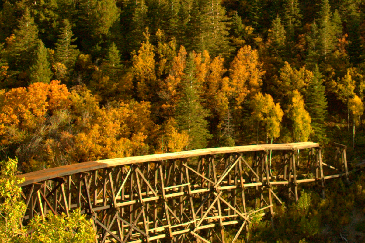 A bridge amongst trees changing colors along the Sunspot Scenic Byway in New Mexico