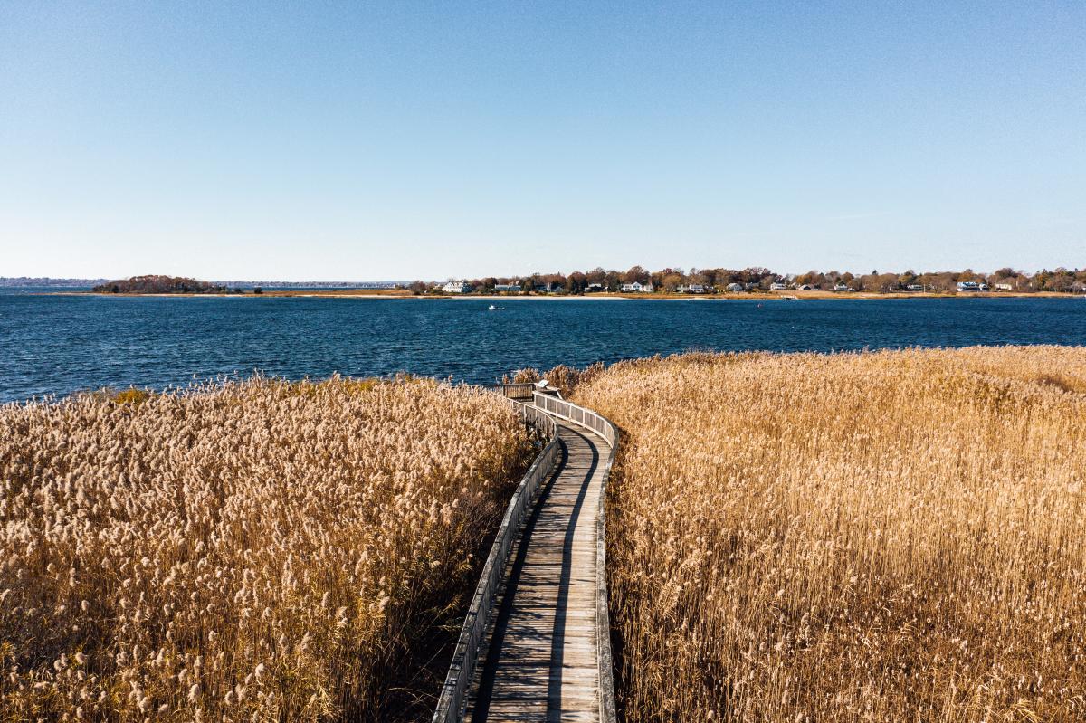 Audubon Center