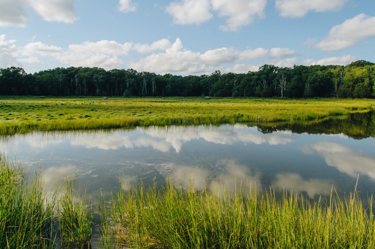 Touisset Marsh