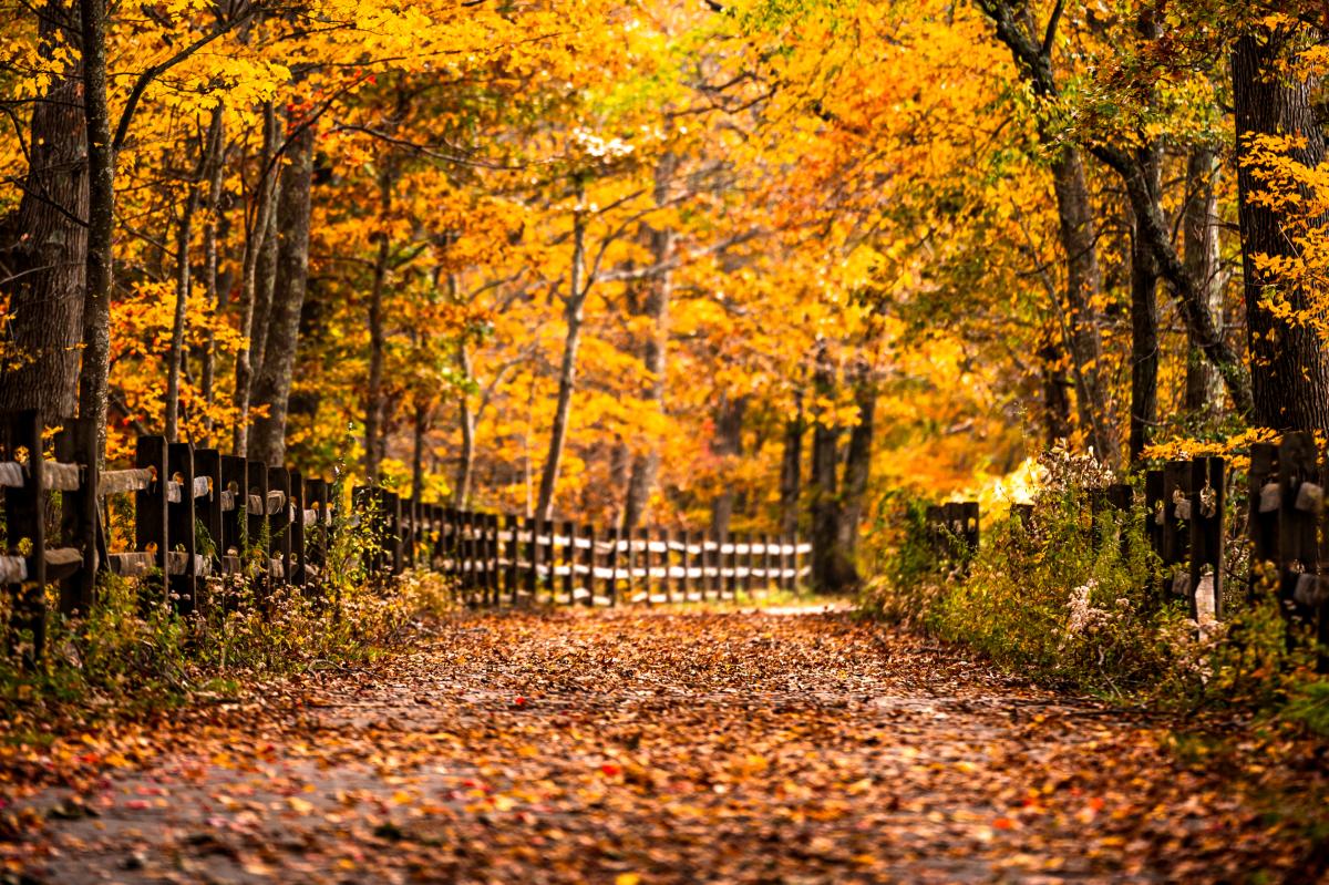 Warren Bike Path