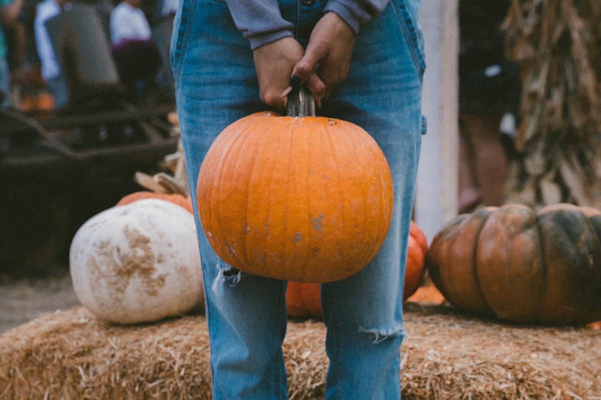 Pumpkin Picking