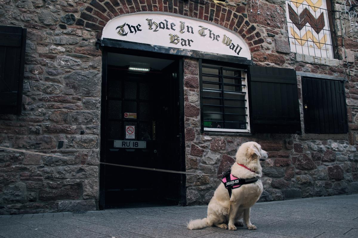 Dog Friendly Itinerary Armagh - 06