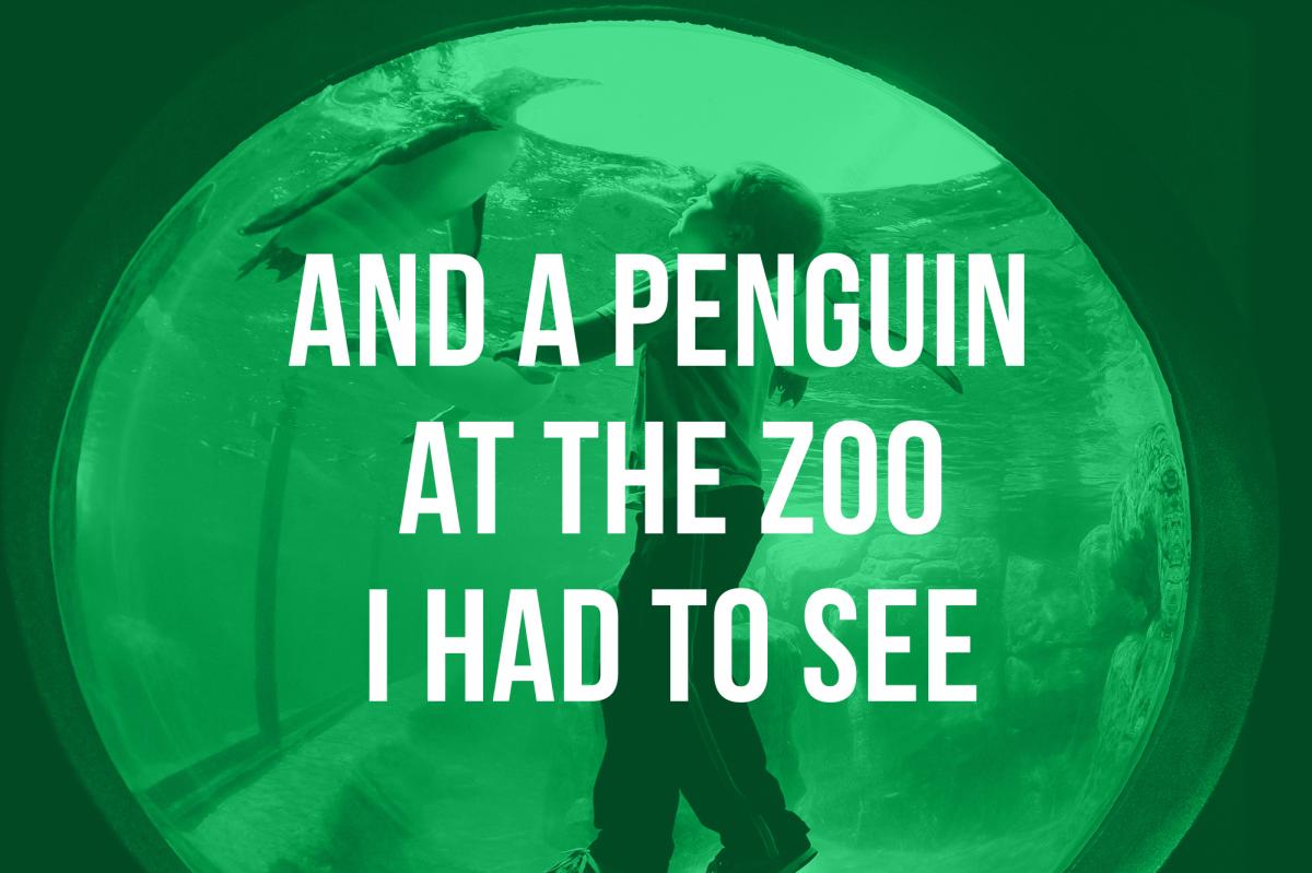 1 - And a Penguin at the Zoo I Had to See