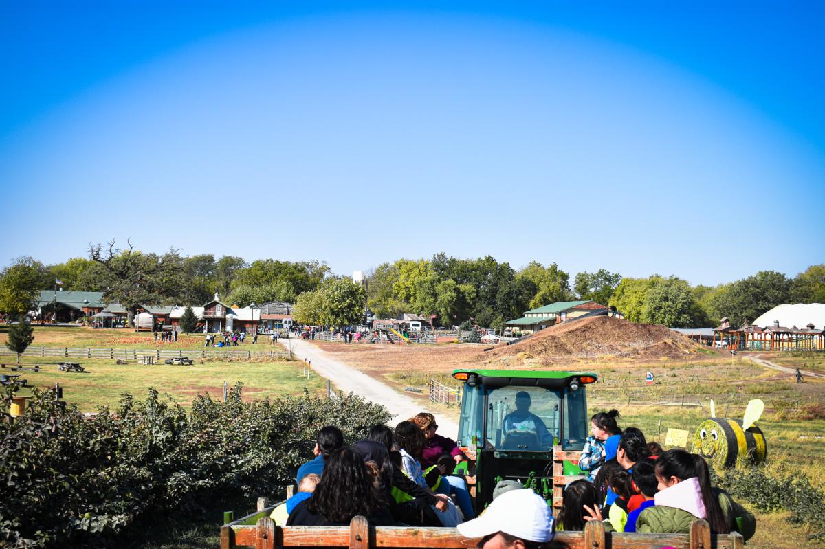 Bellevue Berry Farm 2024