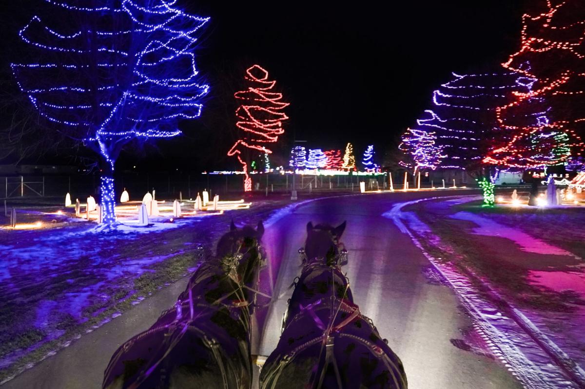 Celebration of Lights in Oshkosh Horse Pulled Wagon Rides
