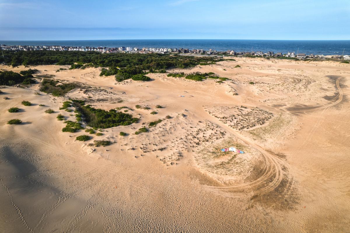 Jockey's Ridge
