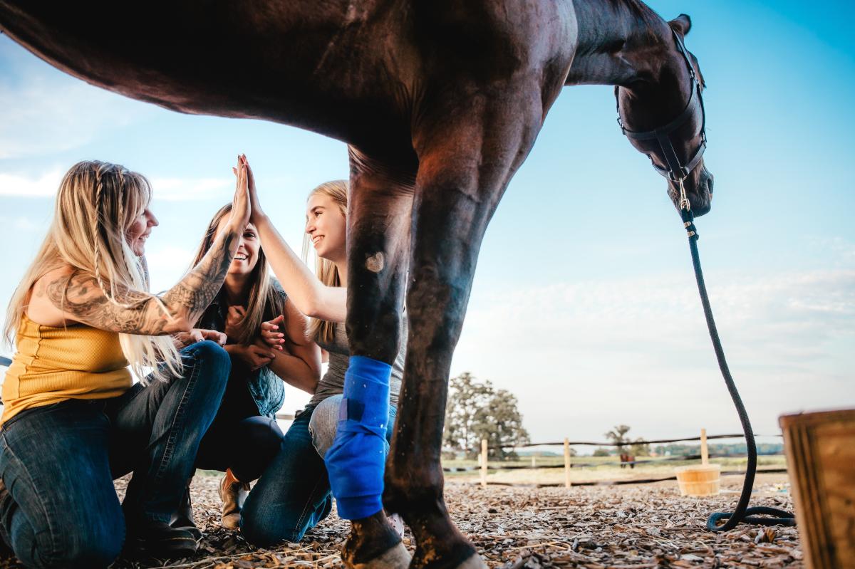 Dudek Photography (Transitions Equine)- 055