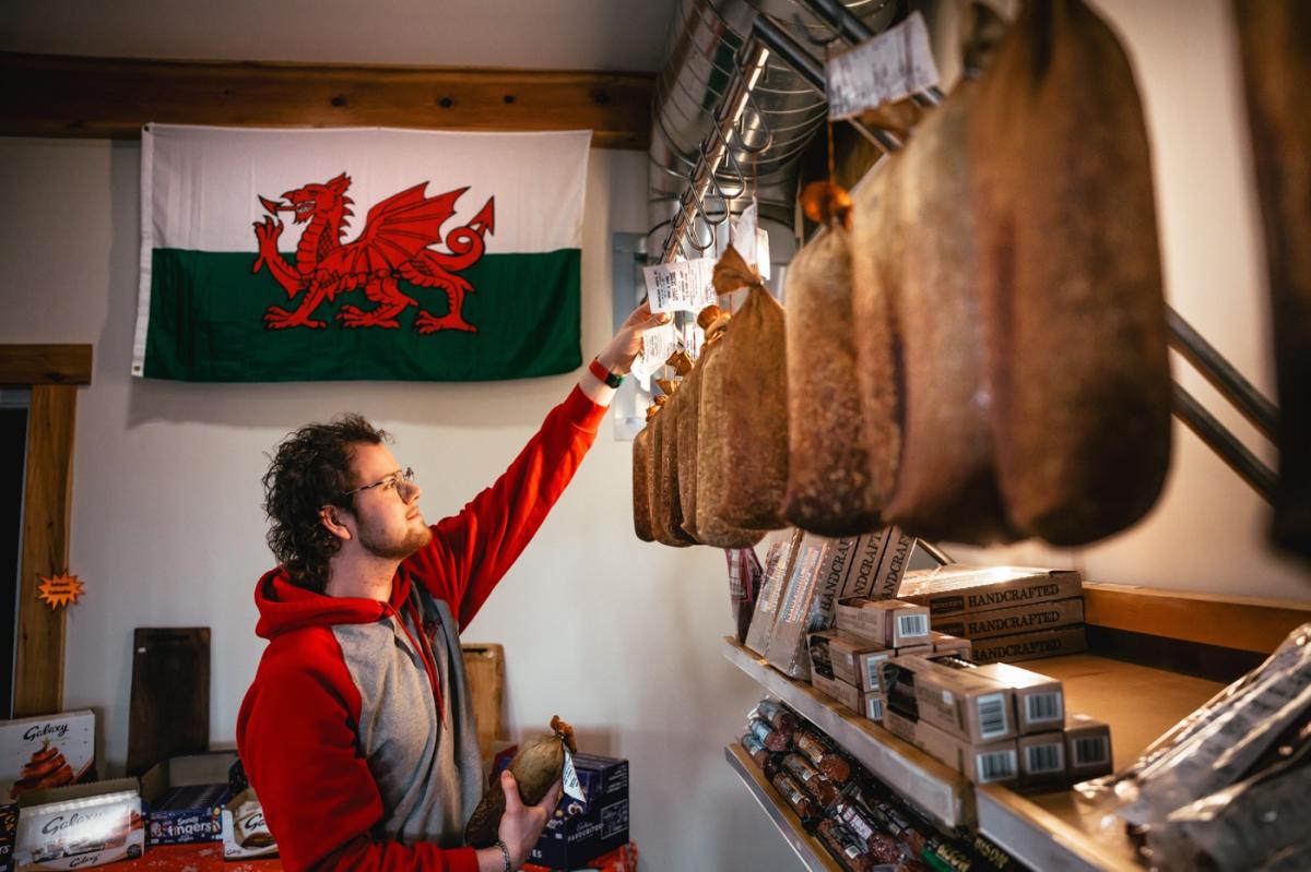 Sheep’s Milk Cream Cheese