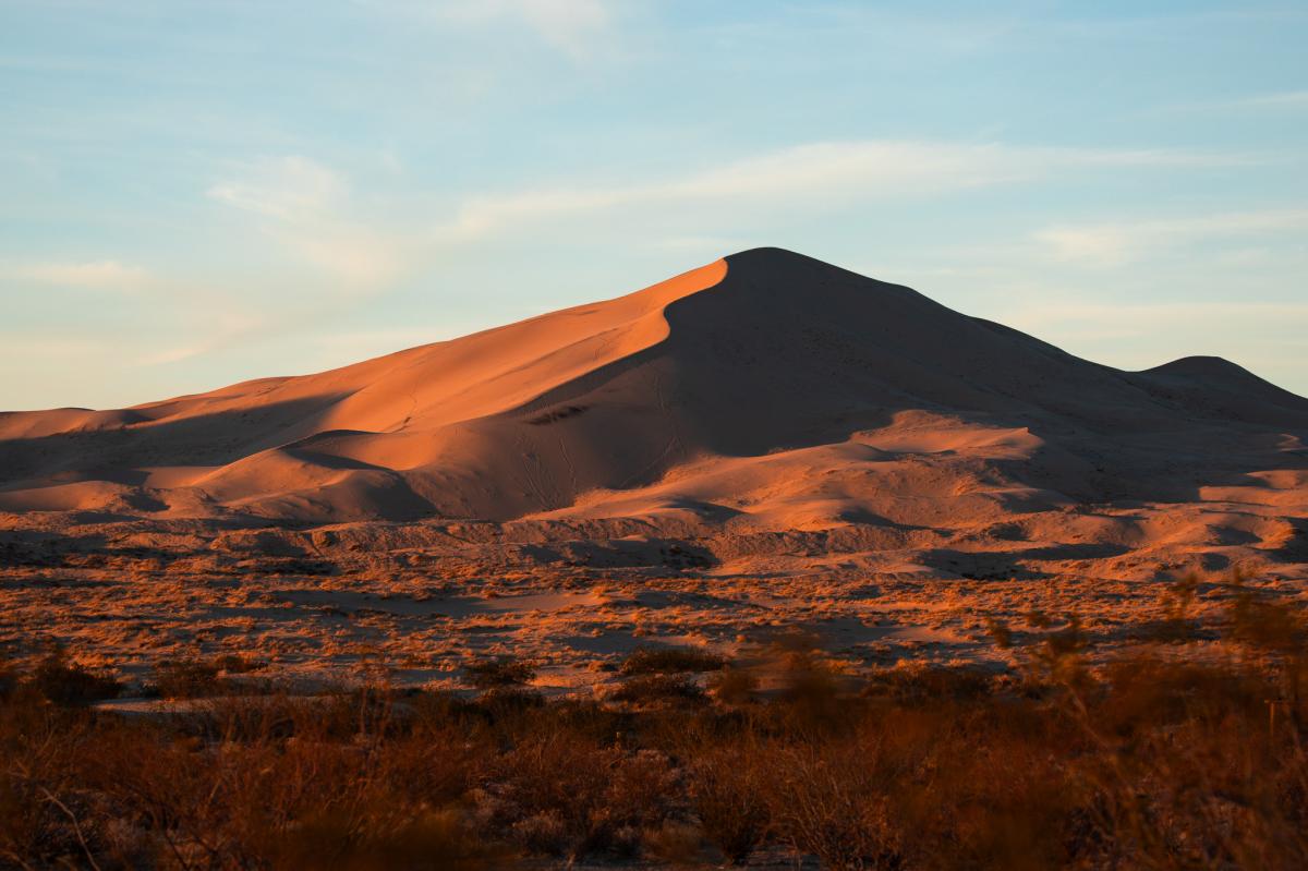 Kelso Dunes in the Mojave National Preserve (photo: Elisabeth Brentano)