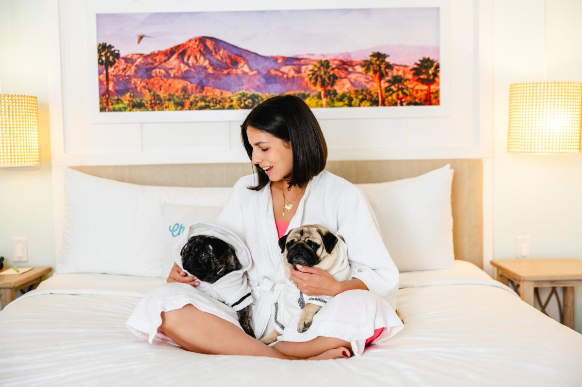 DogFriendly Itinerary in Greater Palm Springs