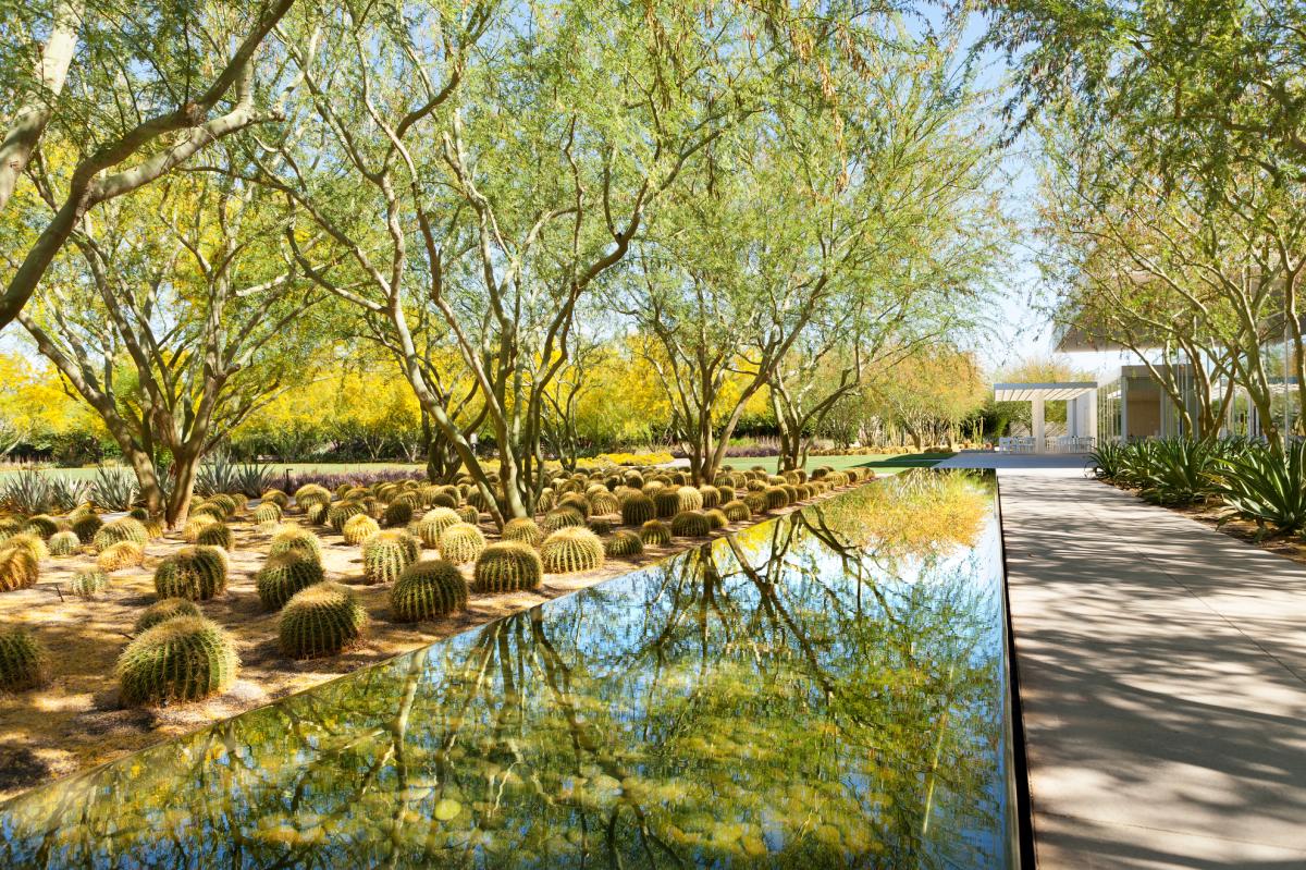 Path Along The Water At Sunnylands Center & Gardens In Greater Palm Springs