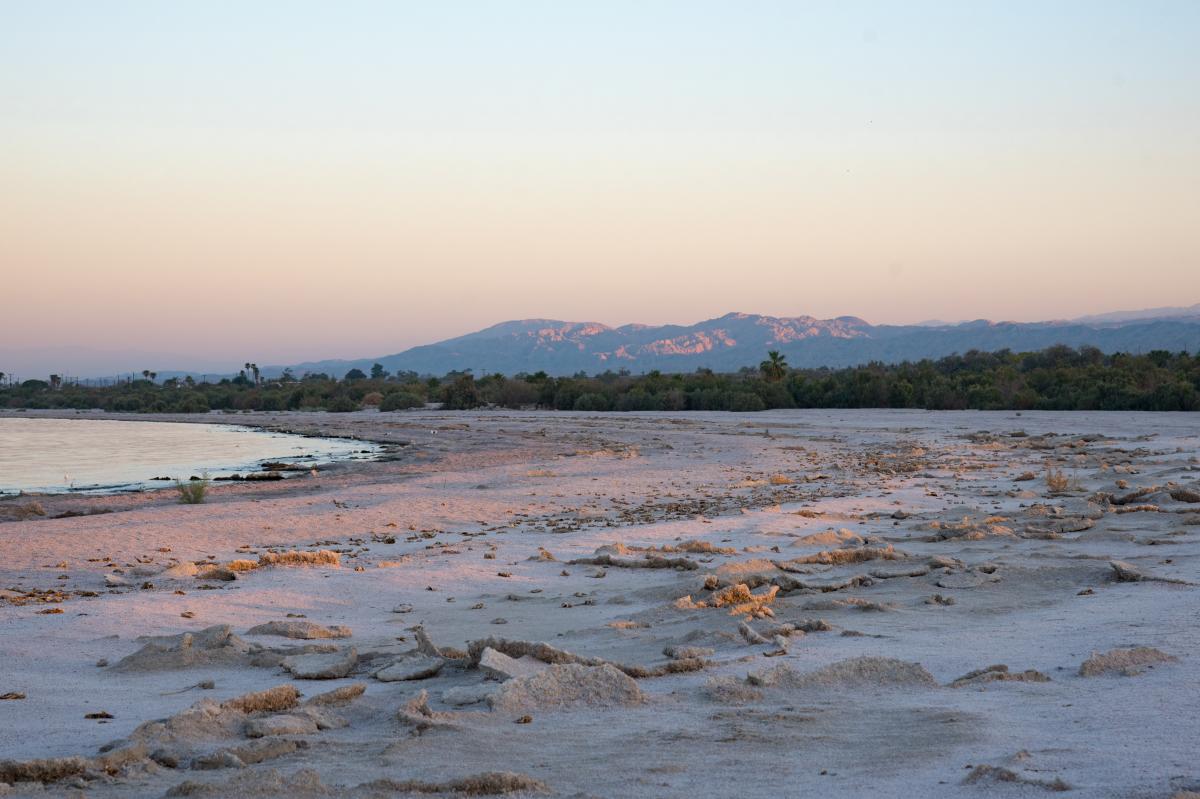 Salton Sea Sand