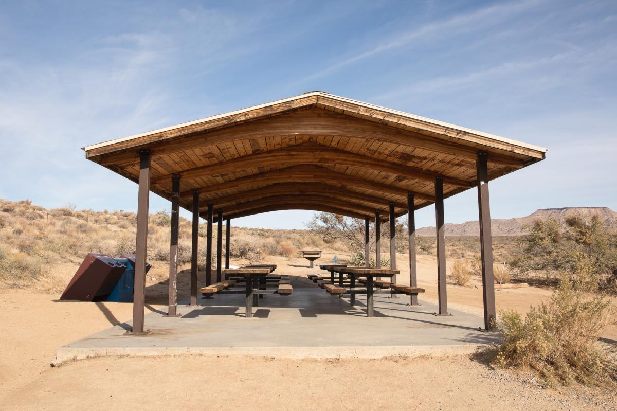 Shaded Picnic Tables at Black Canyon Campground in the Mojave National Preserve