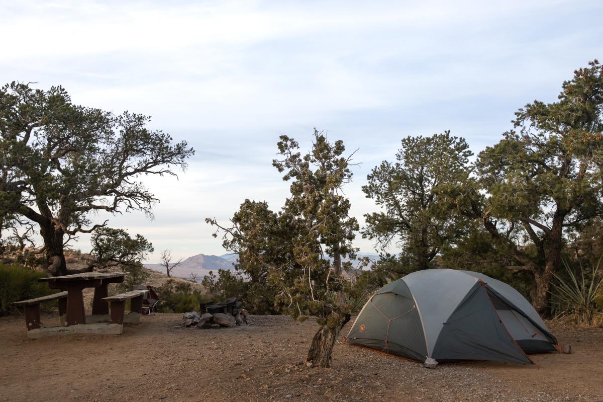 A tent pitched at a campsite at Mid Hills Campground in the Mojave National Preserve
