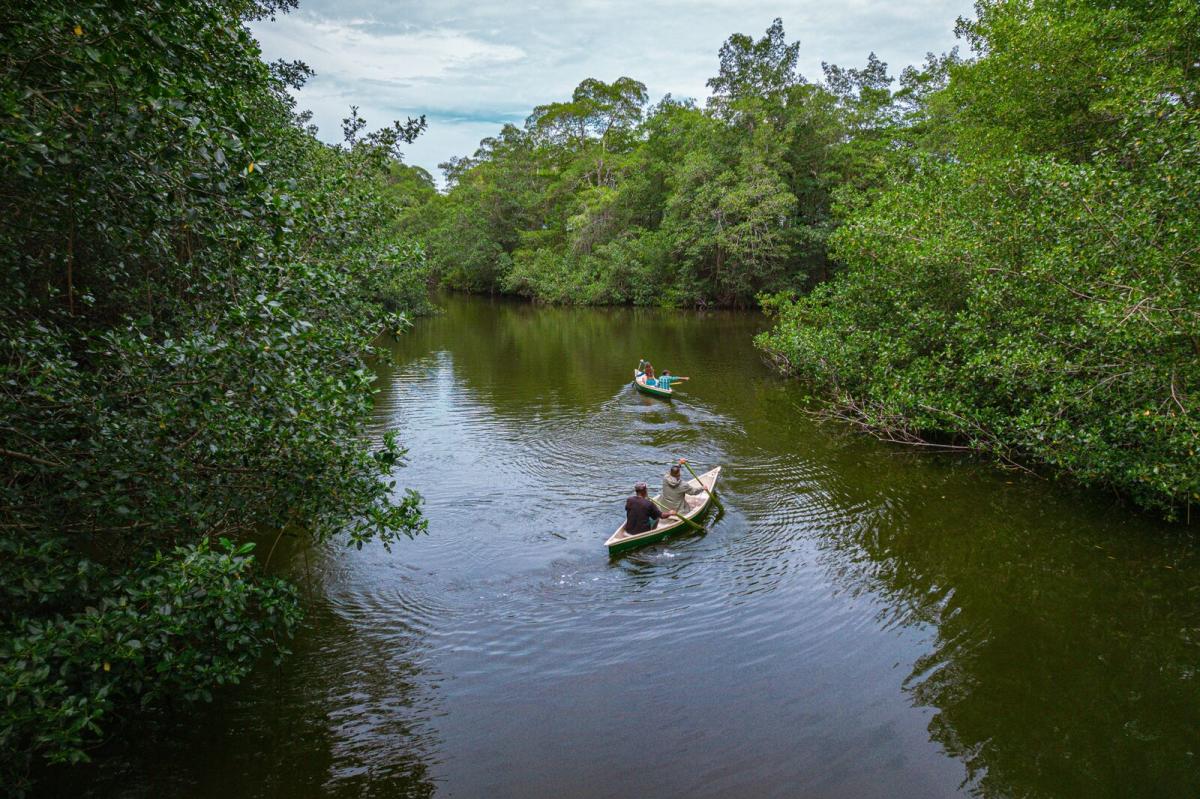 san-san-pond-sak-wetlands-changuinola-bocas-del-toro-province